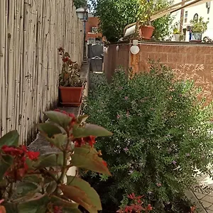 La Farfalla Roma